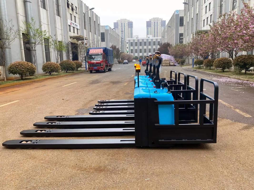 倉儲物流工廠非標(biāo)托盤搬運(yùn)車 額定載重2500kg的高效解決方案